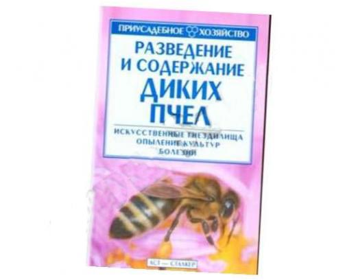 Разведение и содержание диких пчёл
